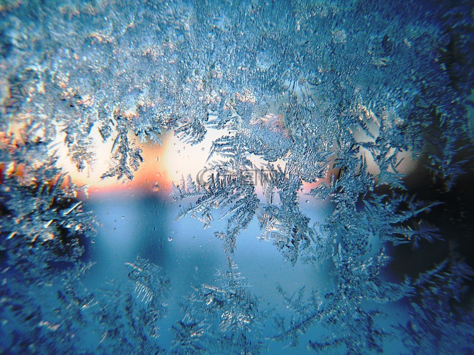 霜,冬天,上午