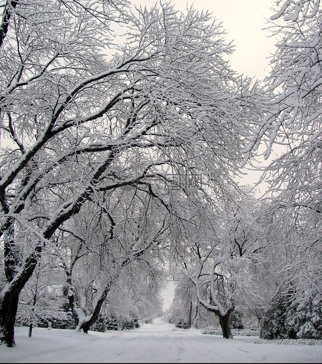 街,雪,冬天高清图库素材免费下载(图片编号:6878285)