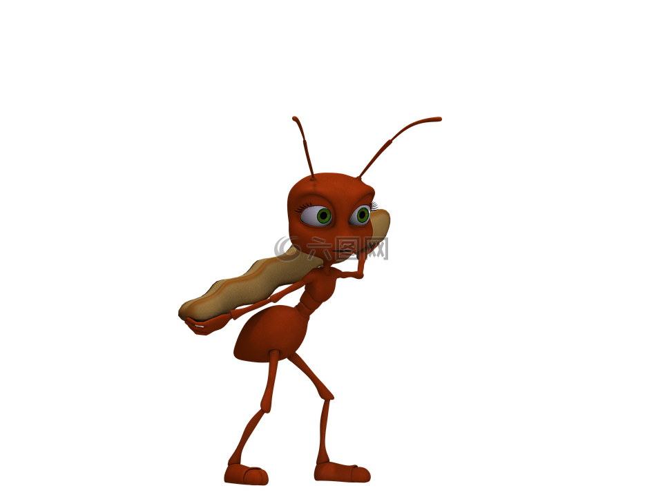 蚂蚁,昆虫,红蚂蚁