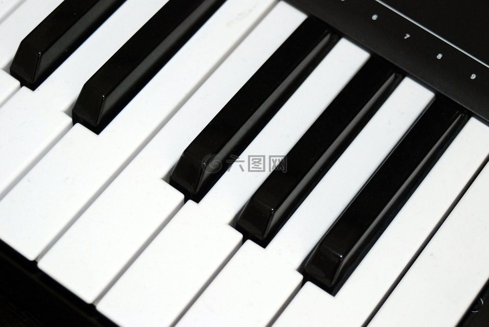 钢琴,键盘按键,乐器