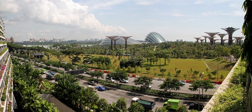 新加坡,海湾花园,植物