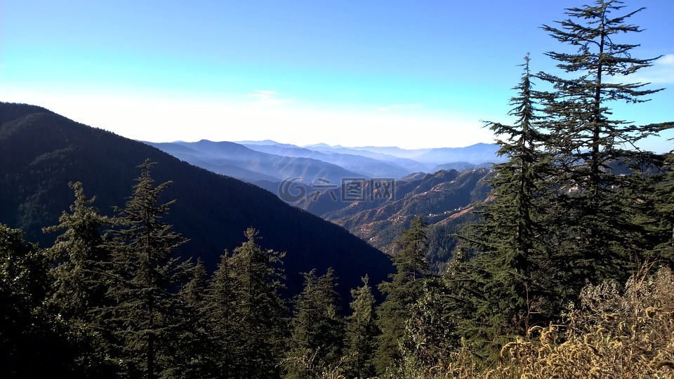 是小马驹,山,雕塑