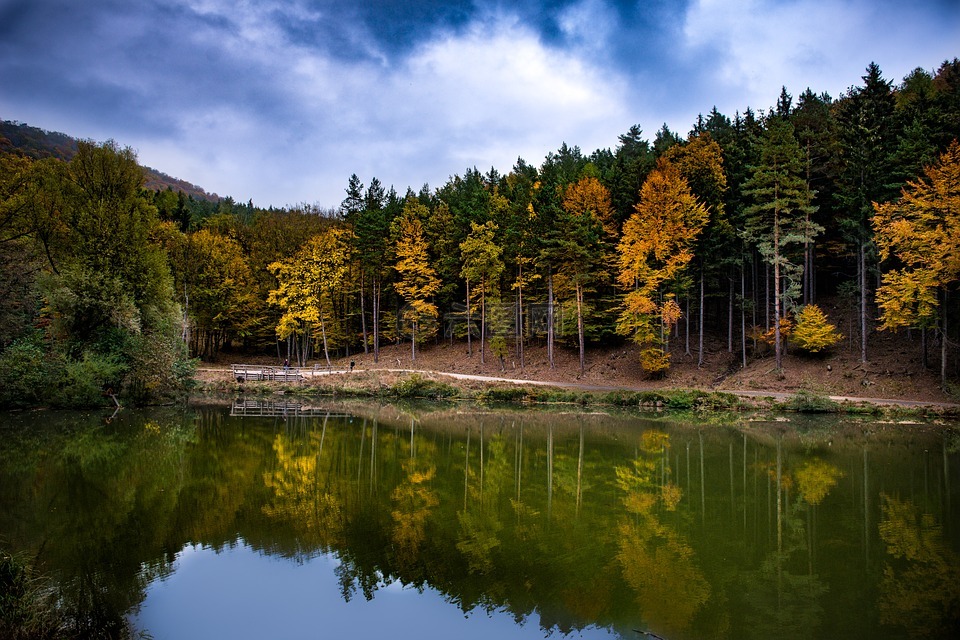 景观,秋天的颜色,树木
