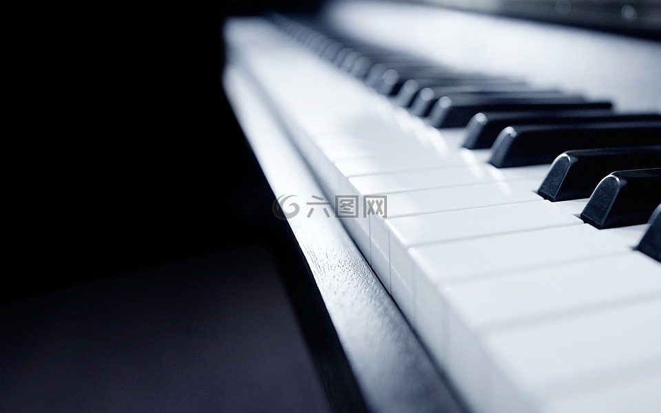 钢琴,音乐,静物