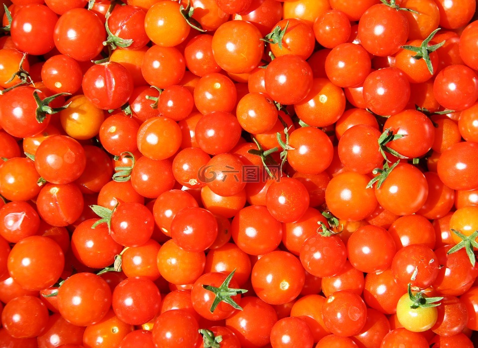 蕃茄,樱桃红番茄,小番茄