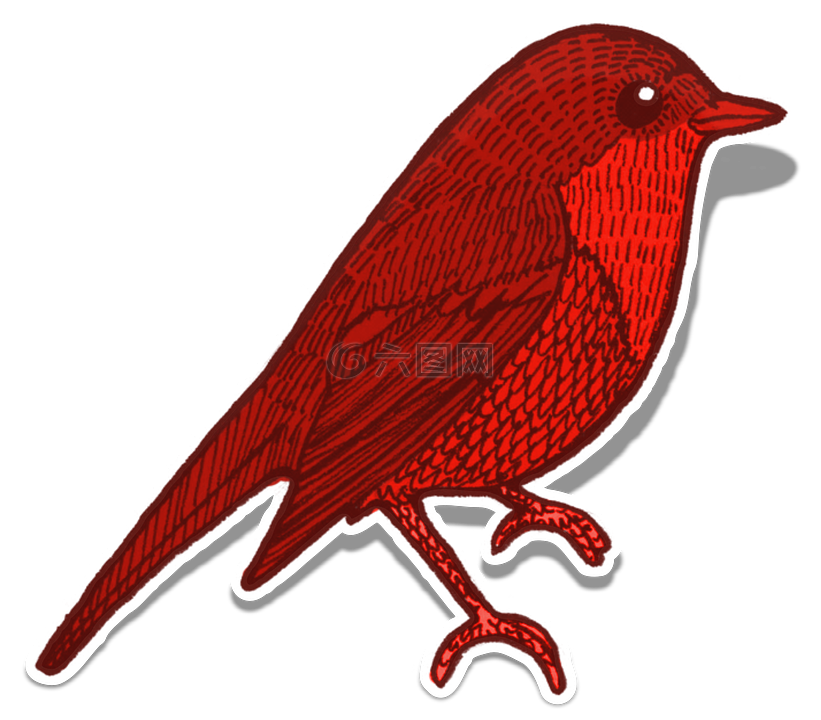 鸟,红色,元素