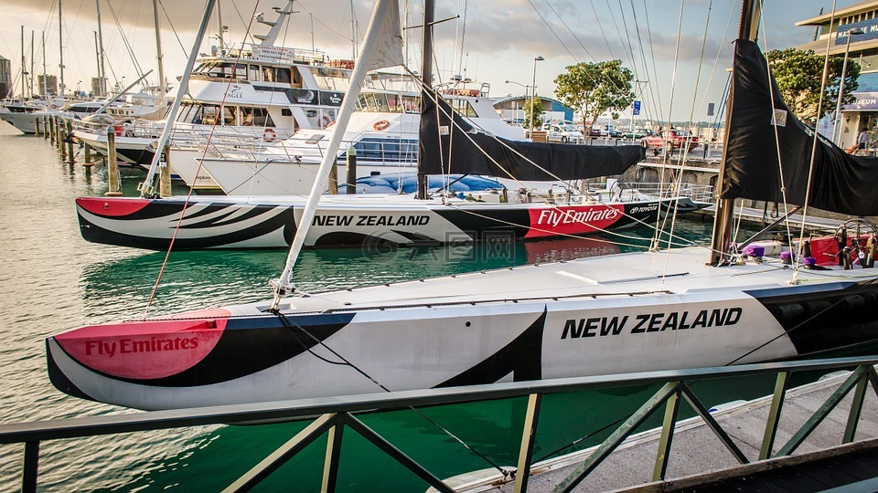 帆船赛,帆船,新西兰