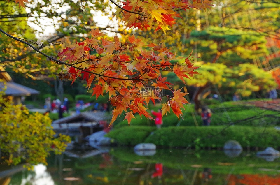 秋初,k,日本花园