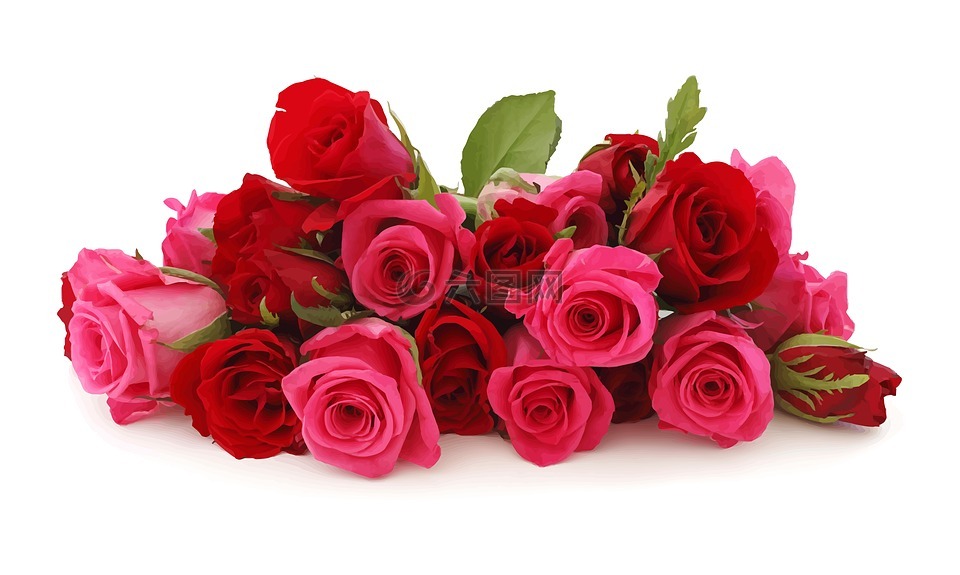 鲜花,玫瑰,浪漫