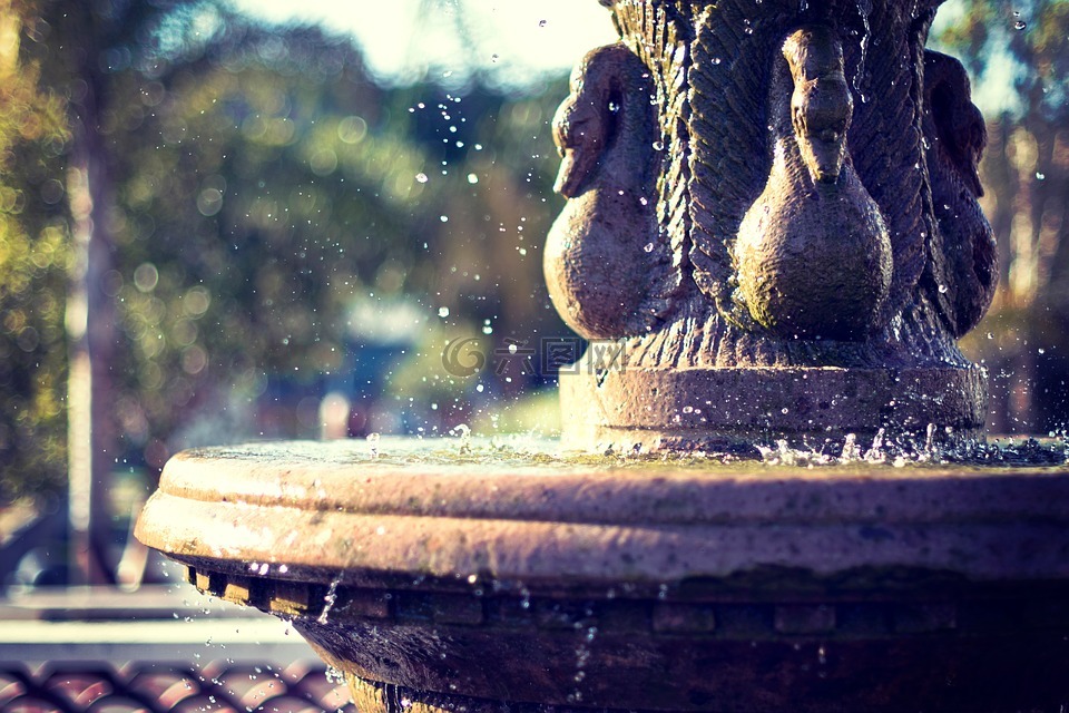 水,喷泉,广场