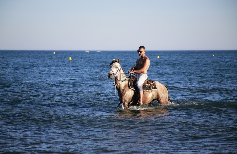 海马,沐浴,跳线