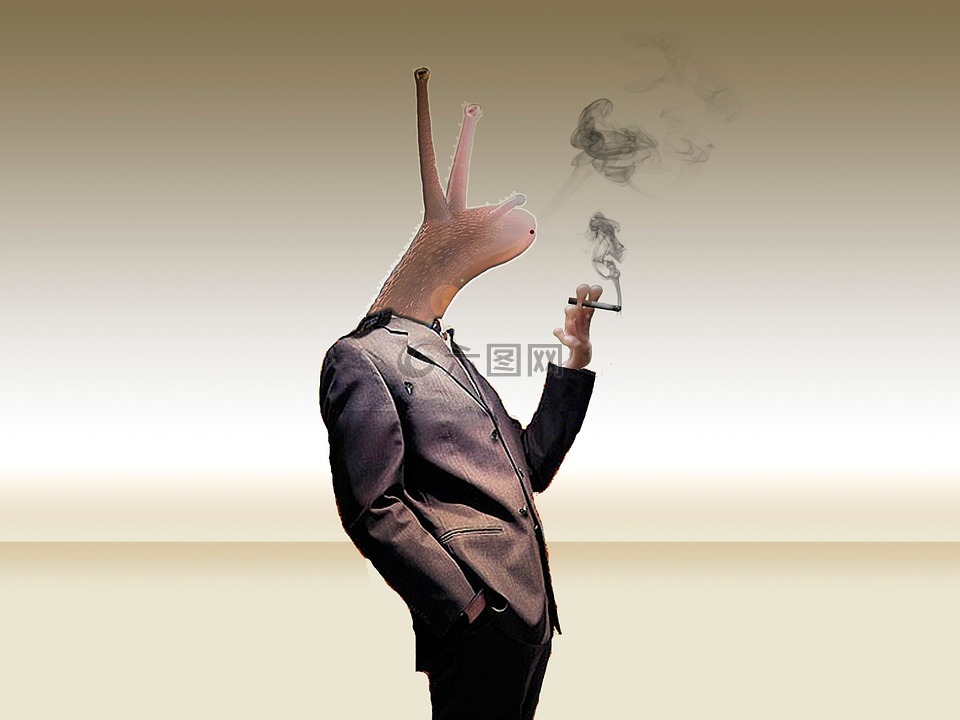 蜗牛,photoshop中,吸烟