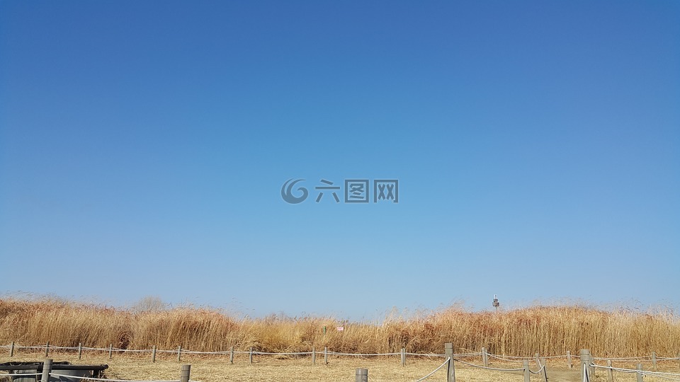 天空,蓝色的天空,天空公园