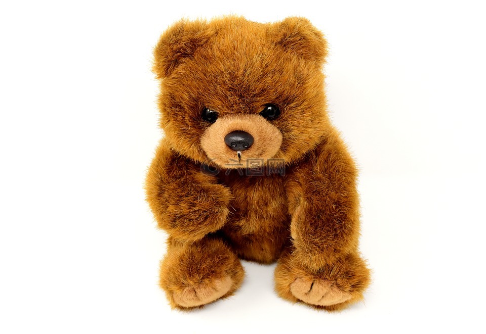 泰迪熊,毛绒玩具,毛绒动物