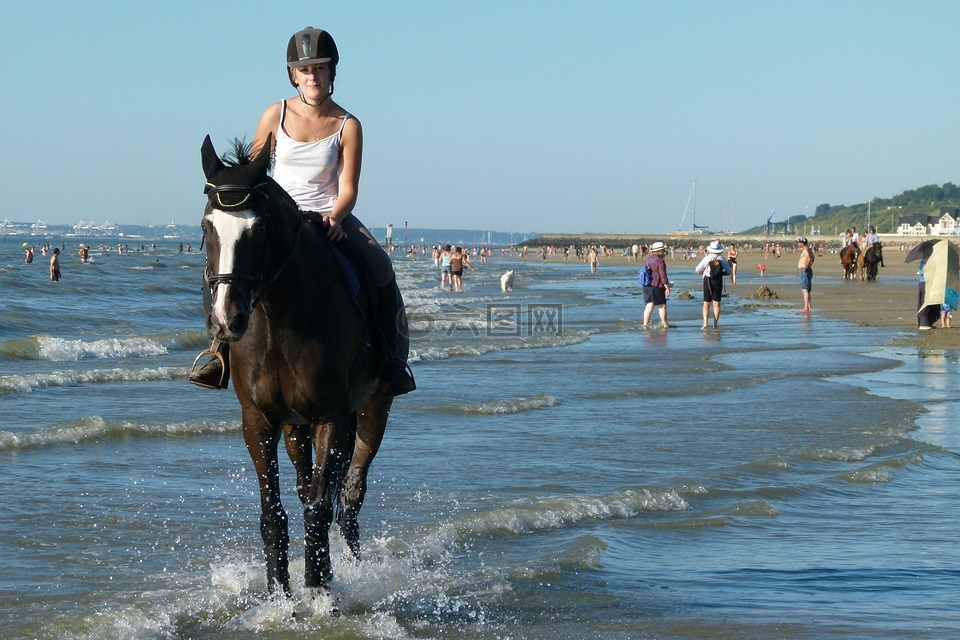 马,骑,海滩