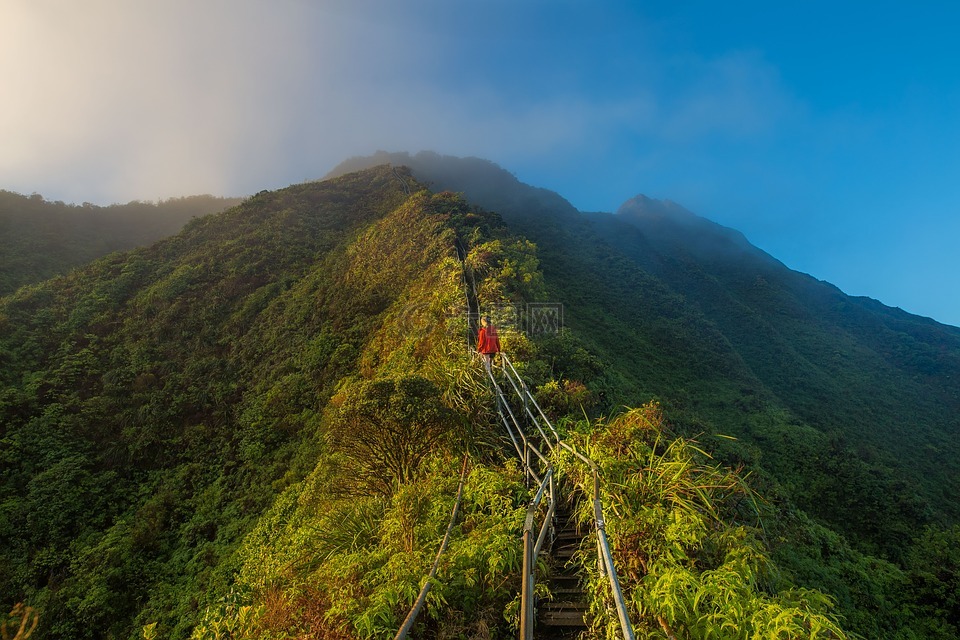 冒险,草,山