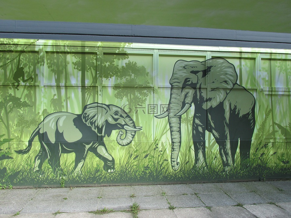 大象,艺术墙,墙