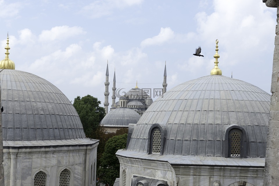 圣索菲娅,伊斯坦堡,屋顶