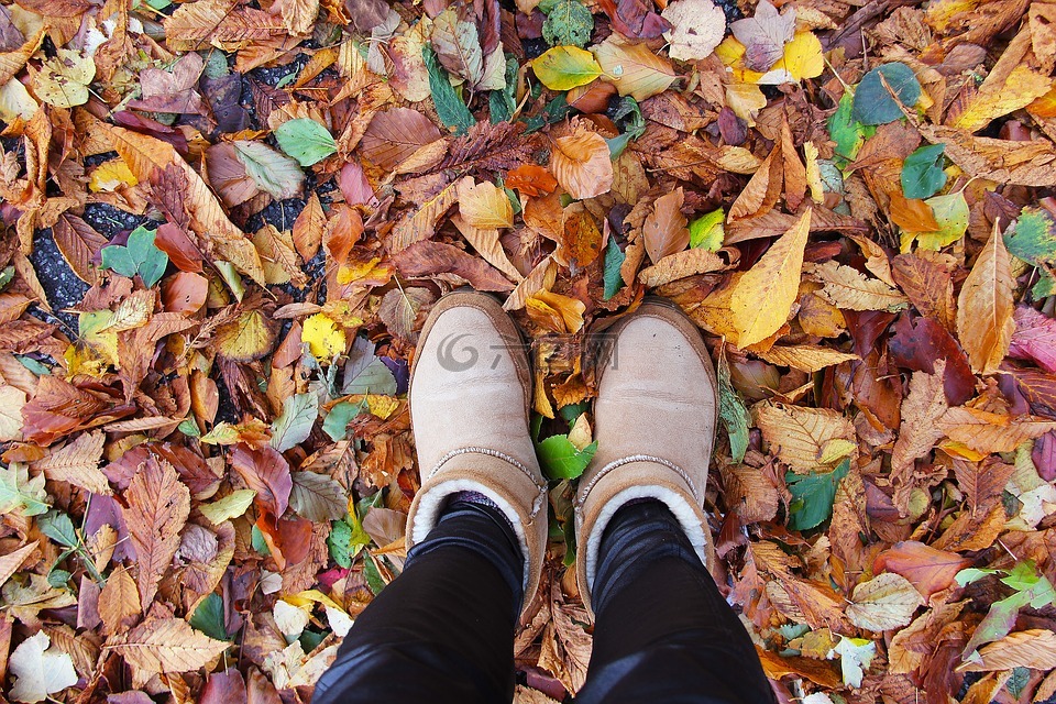 鞋,享受,秋天