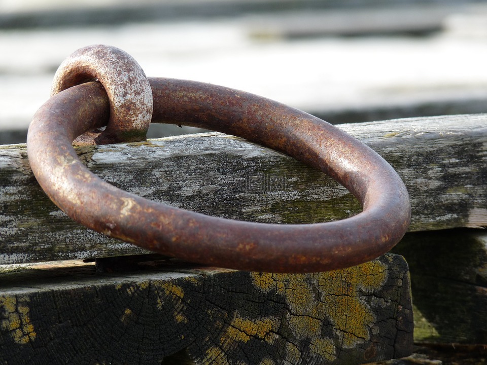 系泊环,饼类,岸边