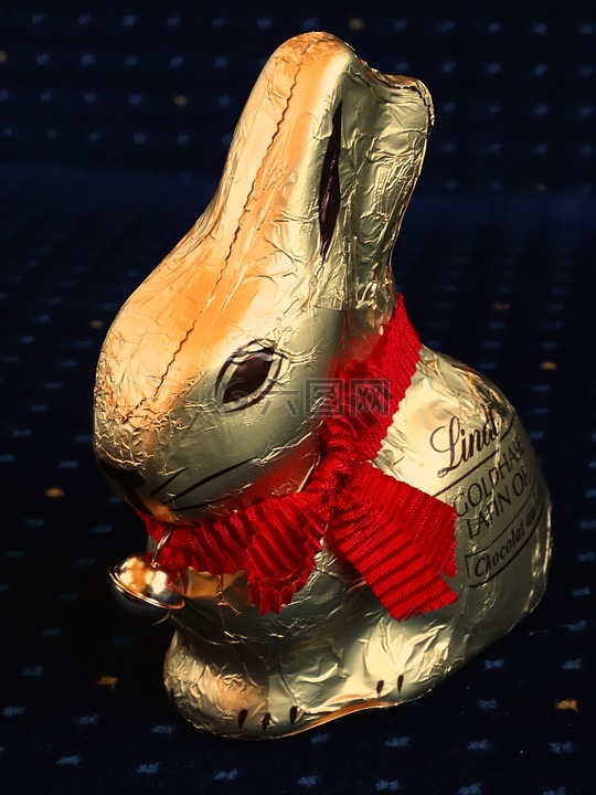 金兔子,巧克力,野兔