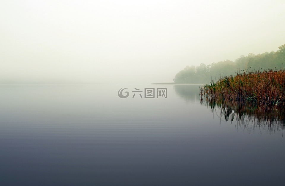 湖,雾,甜高峰