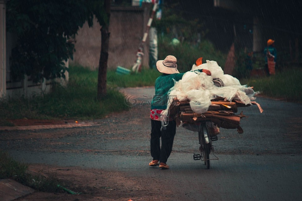 越南妇女,劳动,农村