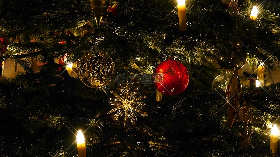 圣诞树,圣诞节,闪光