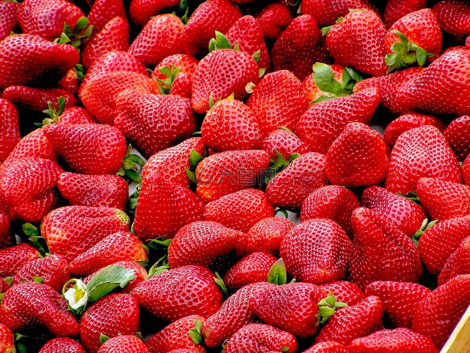 草莓,红色,水果