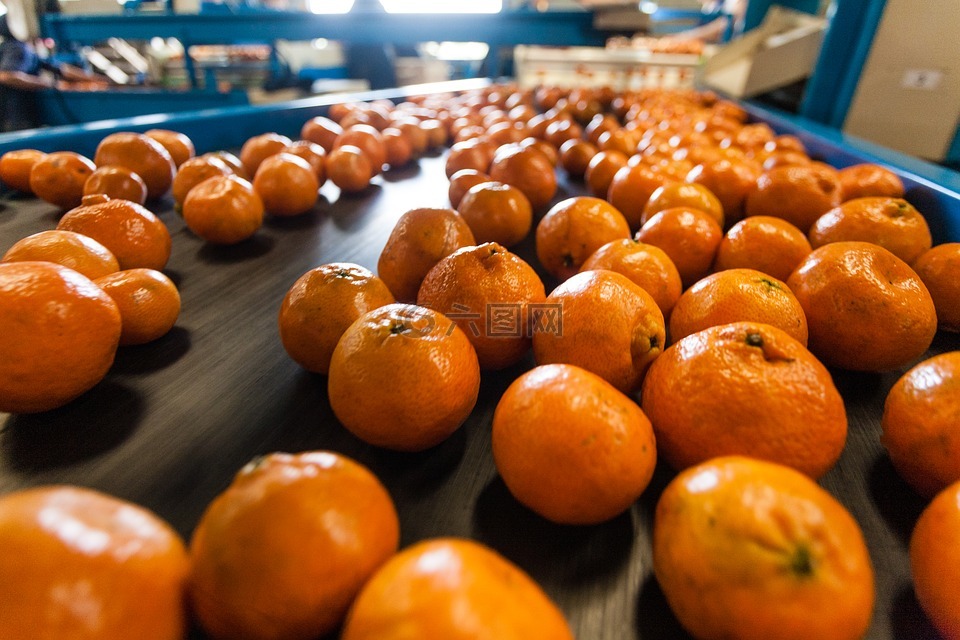 橙色,生产,填料