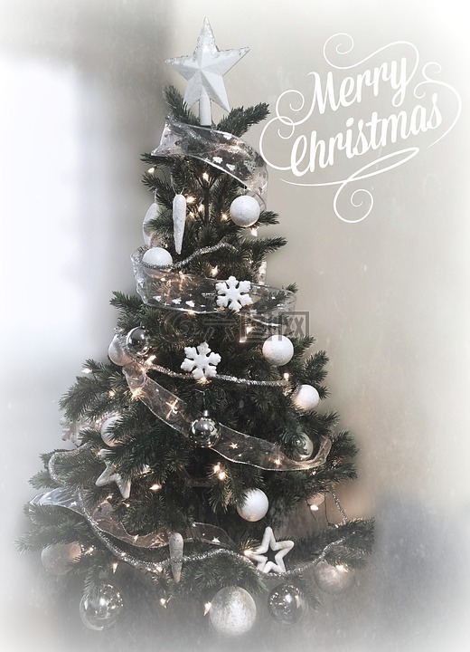 圣诞节,圣诞树,愿望