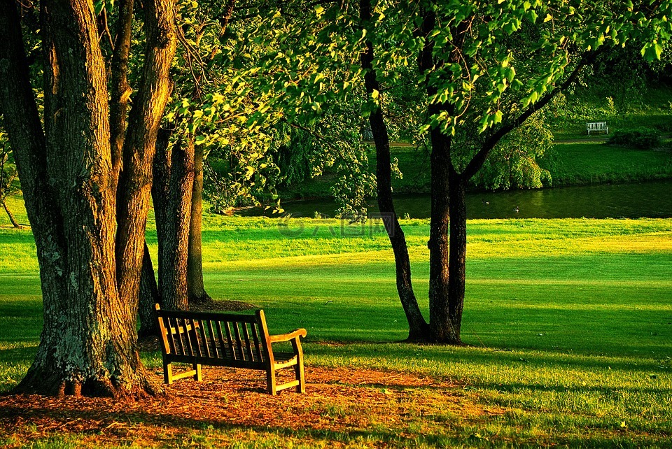 meadowlark,公园,长凳