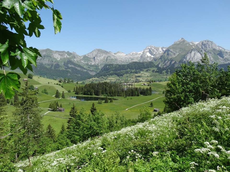 山世界,瑞士,山景观