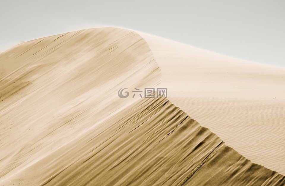 沙,沙漠,景观