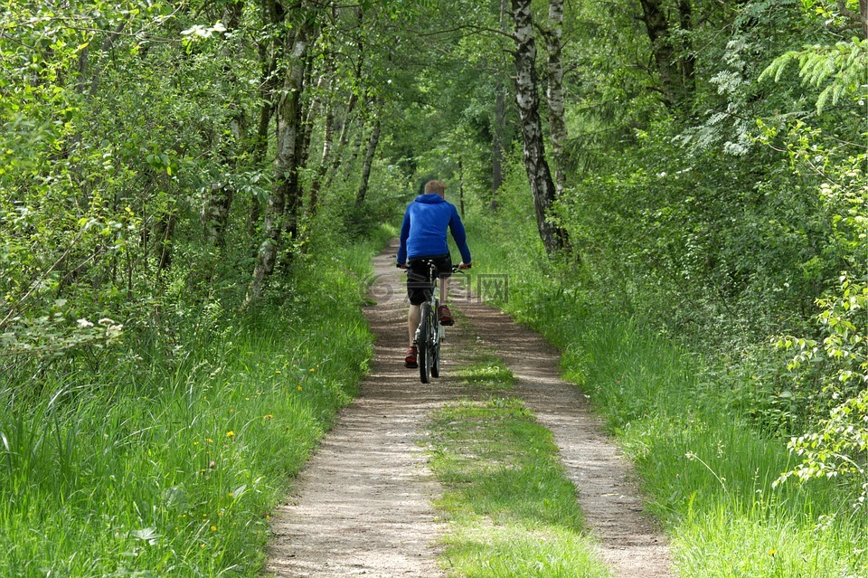 骑自行车,自行车运动员,森林