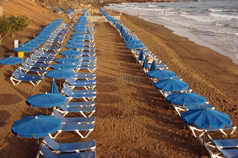 海滩,关注,日光躺椅