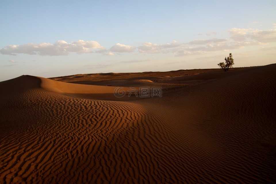 沙漠,摩洛哥,非洲