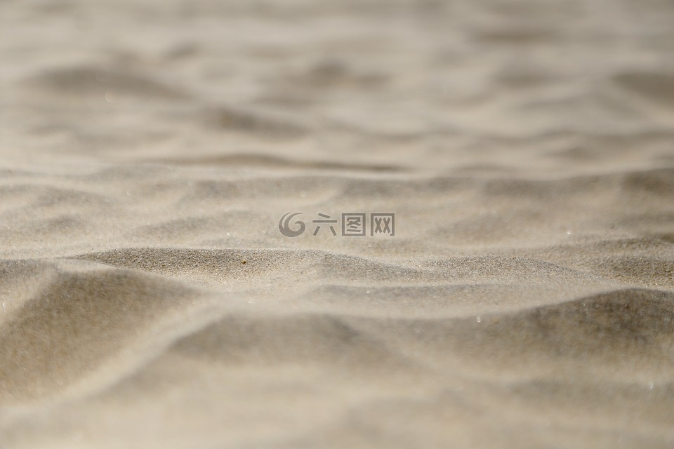 沙子,海滩,微观