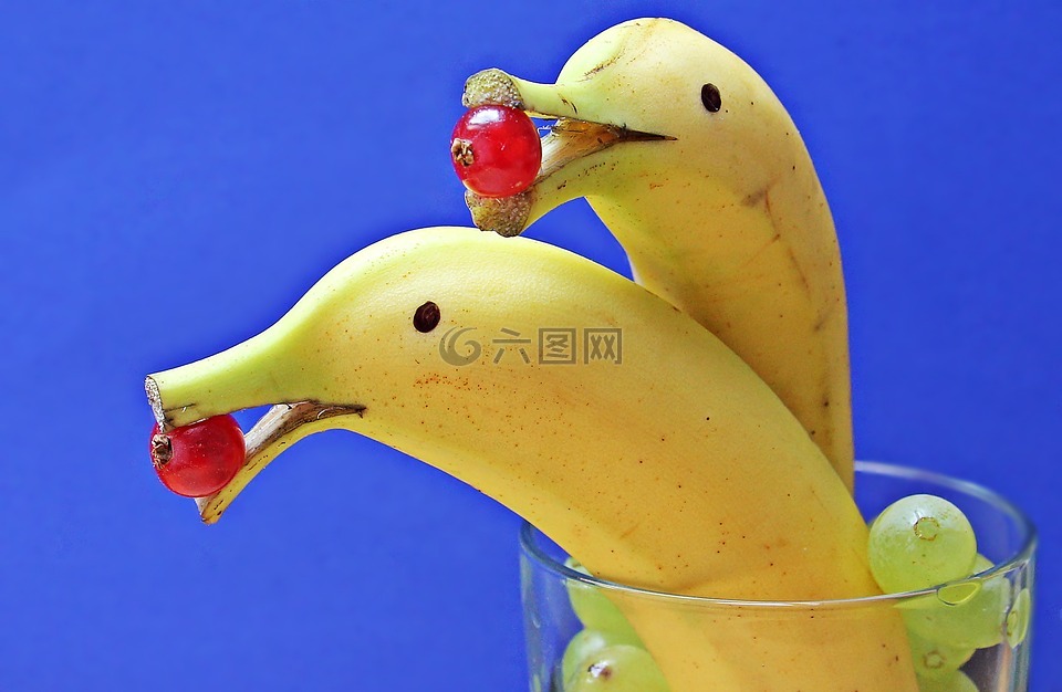 香蕉海豚,香蕉,海豚