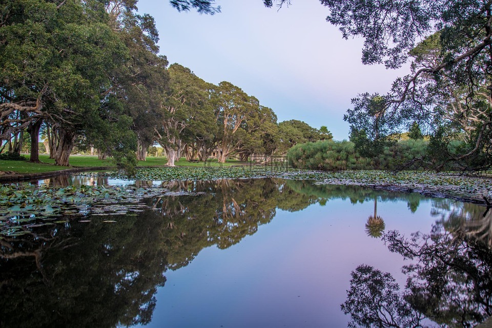 百年公园,悉尼,澳大利亚