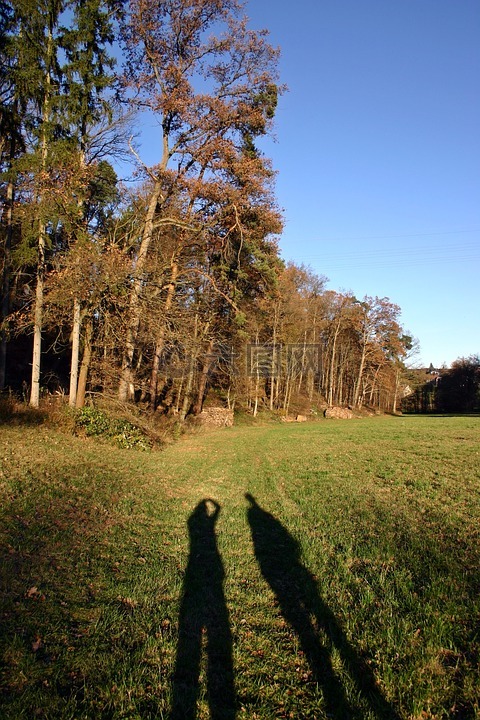 步行,秋季,影子