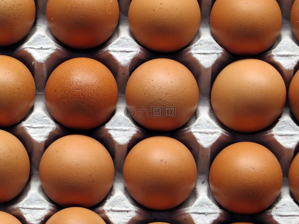 鸡蛋,鸡蛋篮,布朗