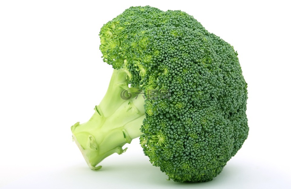 食欲,西兰花,花椰菜 broccolli