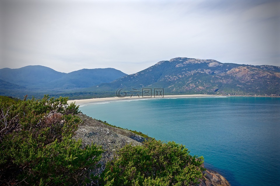 感潮河段,威尔逊岬,湾