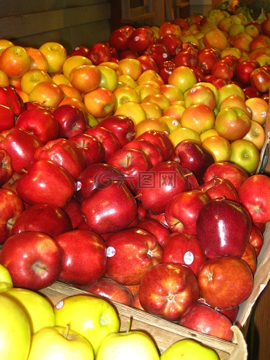 苹果,收获,秋天