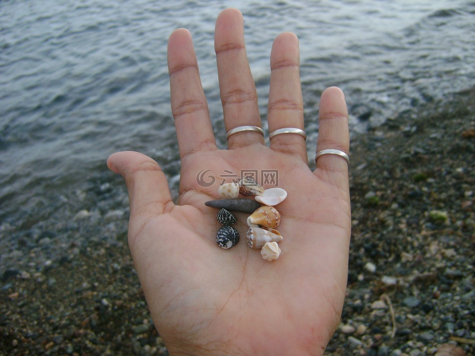 手,蜗牛,海