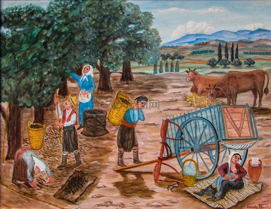 角豆收获,收获,农村生活