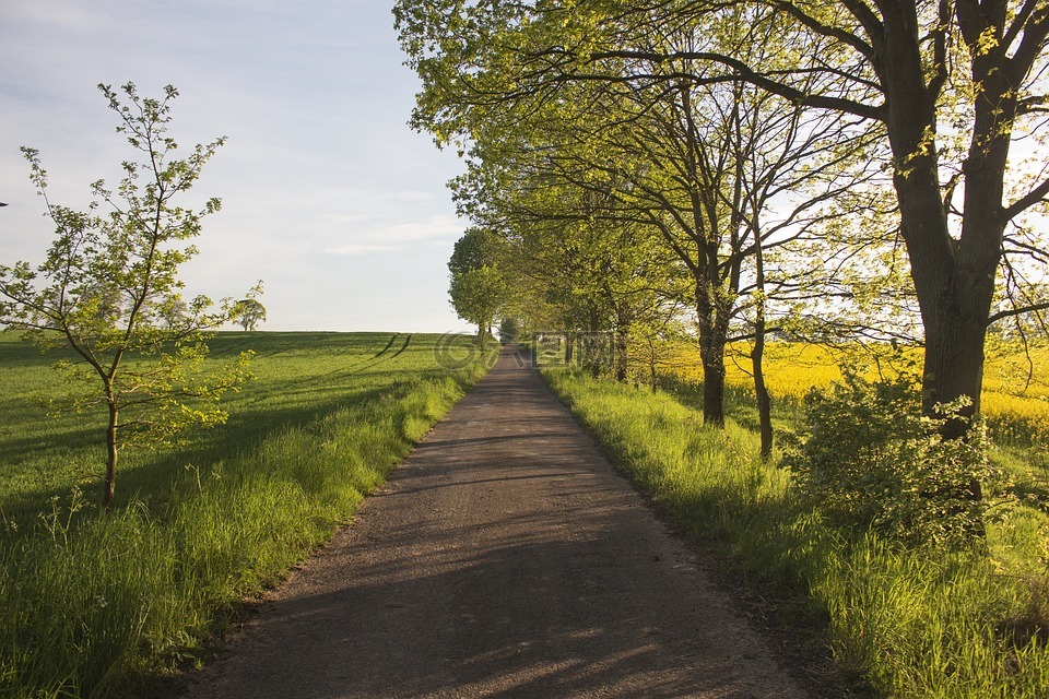 波兰的道路,农村的道路,性质