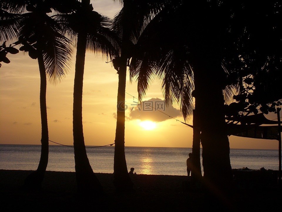 海滩,日落,瓜德罗普岛