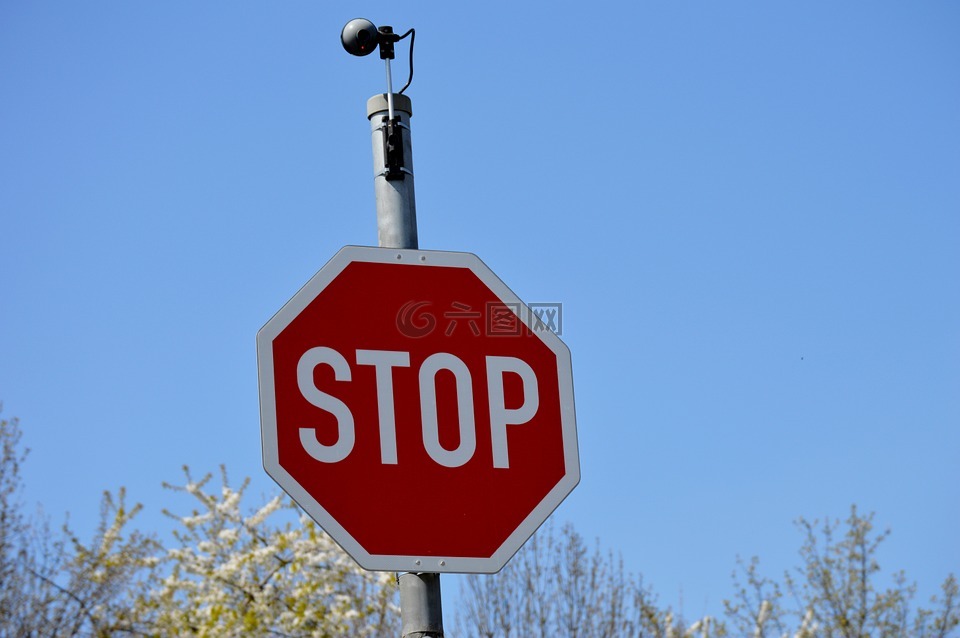 停止,盾,交通标志